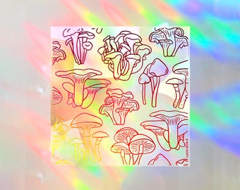Mixed Mushrooms Rainbow Suncatcher Decal | suncatcher sticker, rainbow maker decal, rainbow window decal