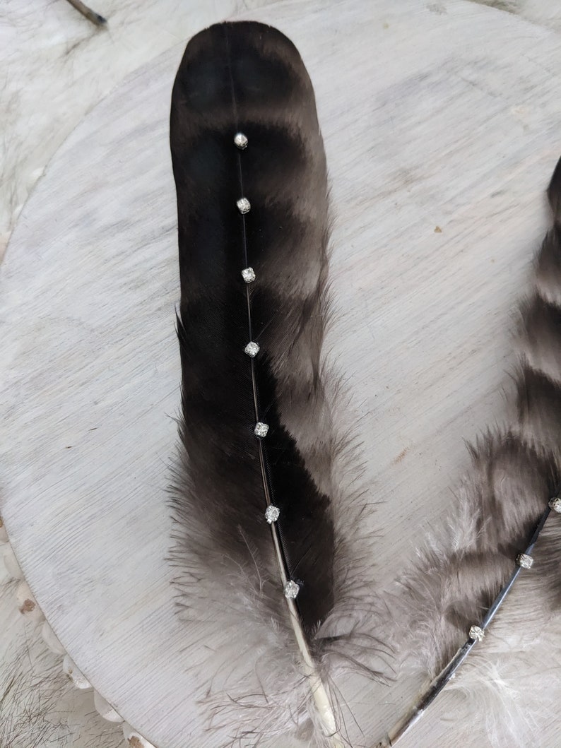 May include: Two black feathers with white tips, decorated with small, clear rhinestones. The feathers are arranged in a V-shape.