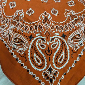 May include: A burnt orange bandana featuring a white and black paisley pattern. The fabric displays a repeating teardrop-shaped motif with intricate scrollwork and floral-inspired details arranged in a symmetrical layout across the square cloth.