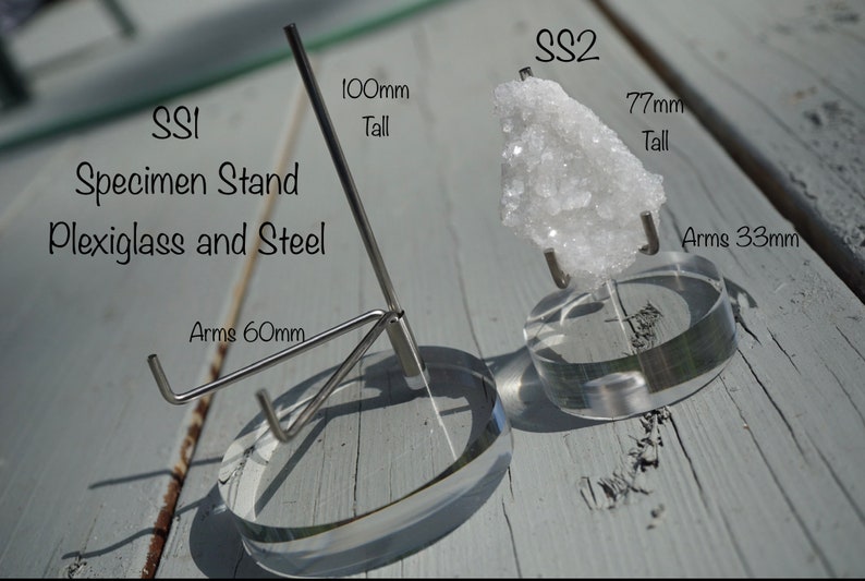 May include: Two specimen stands made of clear acrylic and steel. The stands are labeled "SSI" and "SS2". The stand labeled "SSI" is 100mm tall with 60mm arms. The stand labeled "SS2" is 77mm tall with 33mm arms.