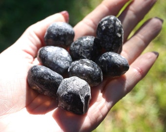 Raw APACHE Tears OBSIDIAN Stone - 3 Größen - Dieser Heilstein kann negative Energie ablenken MR7