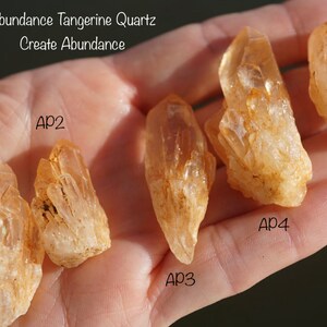 May include: Five orange tangerine quartz crystals labelled AP1 to AP5. The crystals are pointed and translucent. The text "Abundance Tangerine Quartz Create Abundance" is at the top of the image.