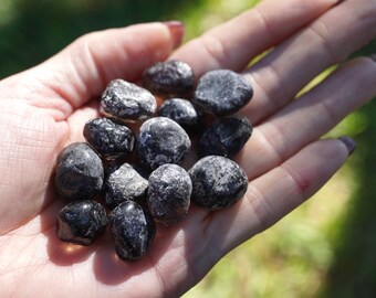 Raw APACHE Tears OBSIDIAN Stone - 3 Sizes - This Healing Crystal