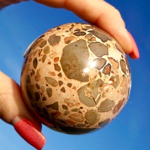 Carved LEOPARD JASPER Sphere  - 50mm Healing Crystal