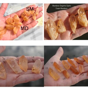 May include: A collection of 12 orange-coloured quartz crystals of varying sizes, labelled with letters and numbers. The crystals are arranged in three rows on a hand. The text "Abundance Tangerine Quartz Create Abundance" is visible at the top of the image.