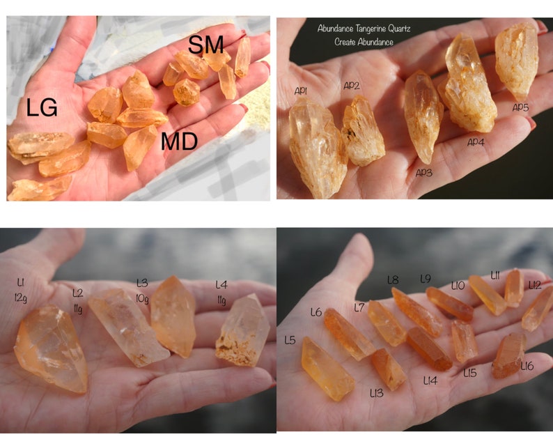 May include: A collection of 12 orange-coloured quartz crystals of varying sizes, labelled with letters and numbers. The crystals are arranged in three rows on a hand. The text "Abundance Tangerine Quartz Create Abundance" is visible at the top of the image.