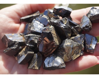 Rough Noble SHUNGITE Stone - Elite Silver Many Sizes Tumbled Shungite - From Russia - Water Filter - Harmonize EMF
