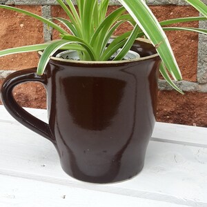 Può includere: Una tazza di ceramica marrone con manico, usata come vaso per una pianta ragno verde e bianca. La tazza è appoggiata su una superficie di legno bianco.
