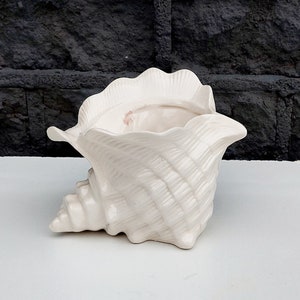 May include: White ceramic seashell planter. The planter is shaped like a seashell with a wide opening at the top. It is a decorative planter for indoor plants.