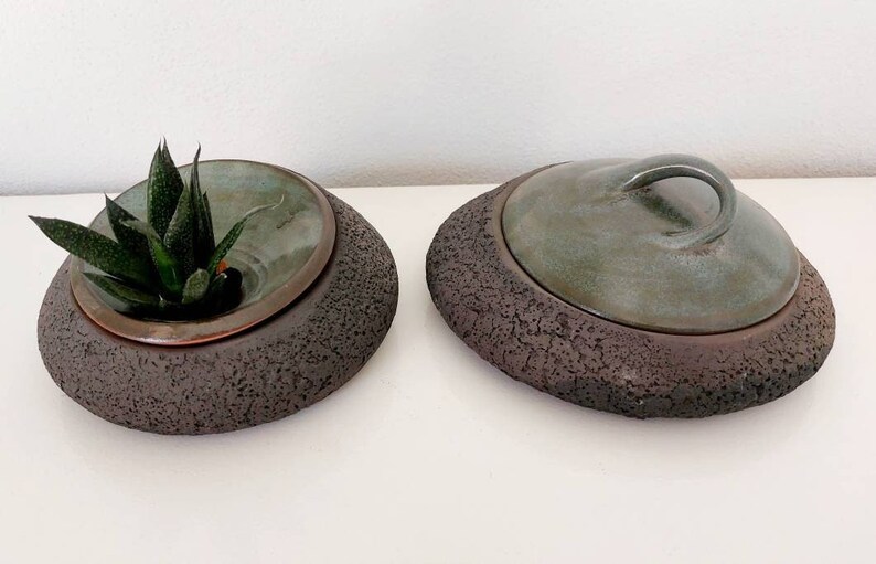 May include: Two ceramic planters with a unique design. One contains a succulent plant. The planters have a dark brown, textured base and a teal-colored interior. One planter has a lid with a handle. The planters are suitable for home decor.