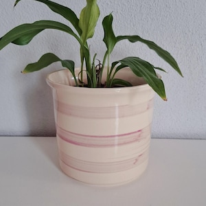 Könnte beinhalten: Ein weißer Keramiktopf mit rosa Streifen, in dem eine grüne Pflanze mit langen Blättern wächst.
