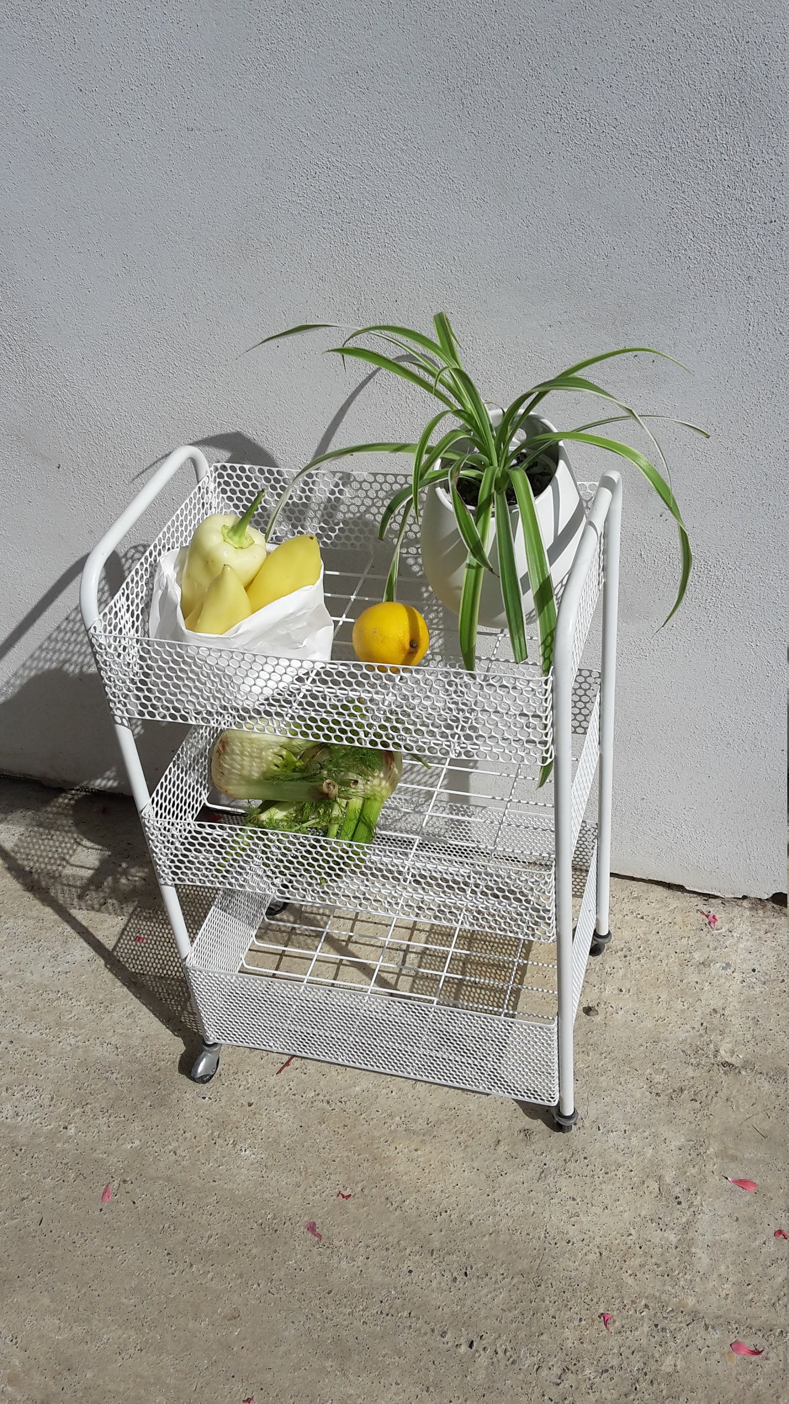 Vintage Gemüse 3-stöckige Küchenregal Retro Obst | Etsy