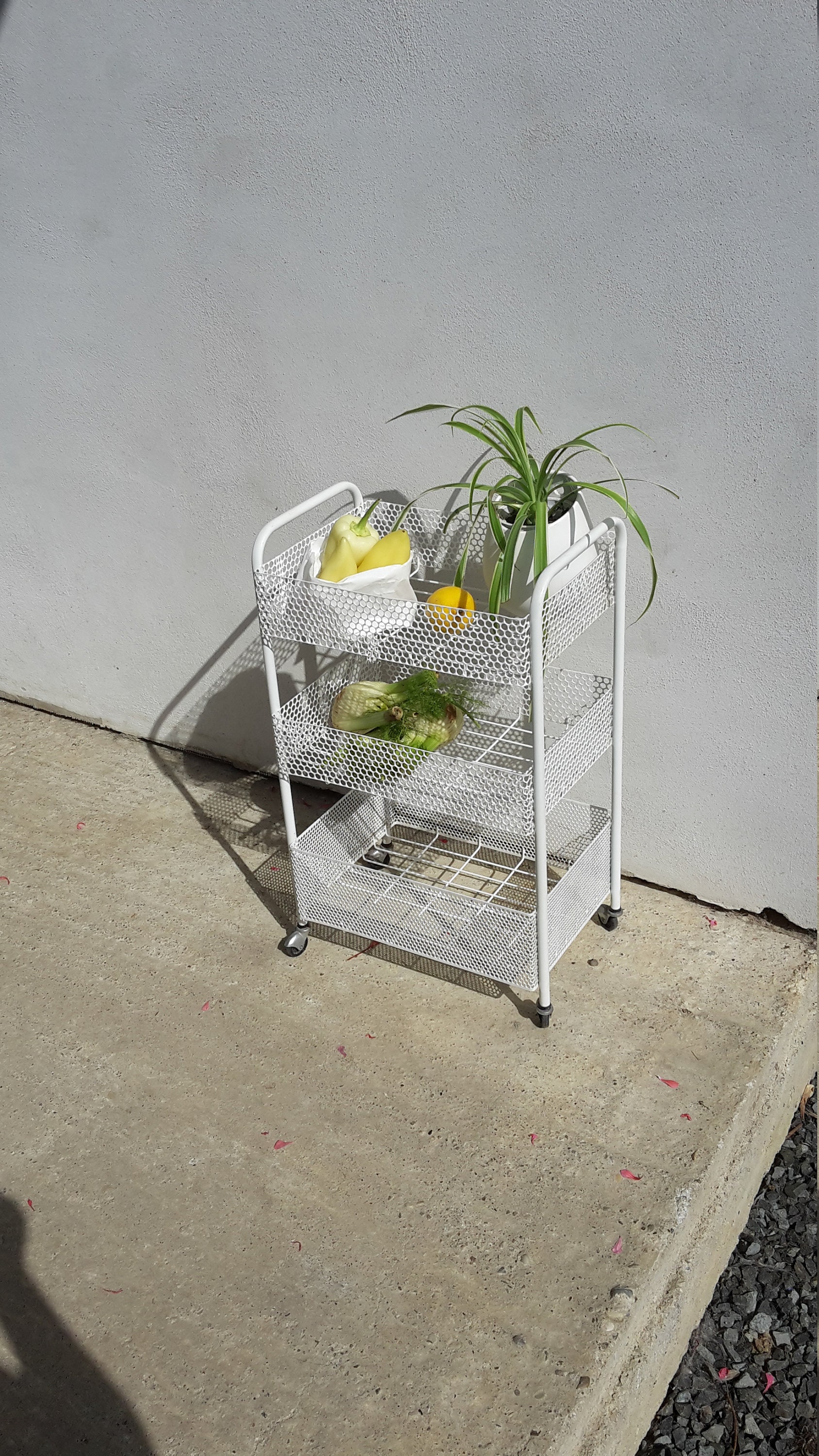 Vintage Gemüse 3-stöckige Küchenregal Retro Obst | Etsy