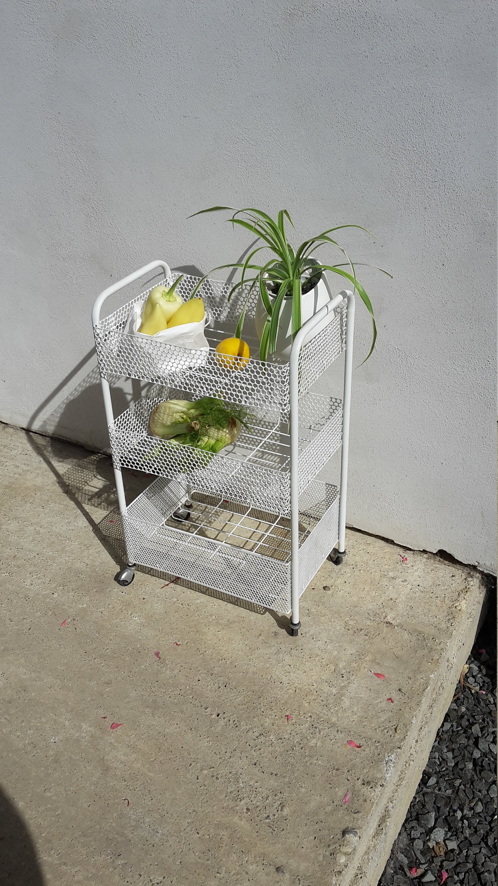 Vintage Gemüse 3-stöckige Küchenregal Retro Obst | Etsy