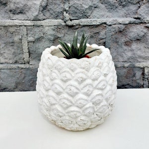 Pineapple plant pot / planter, white terracotta plant pot, outdoor pineapple planter