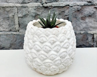 Pineapple plant pot / planter, white terracotta plant pot, outdoor pineapple planter