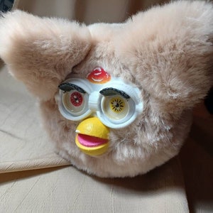 Douleur boi long furby