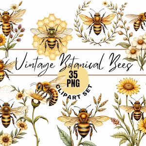 May include: A collection of watercolor illustrations featuring bees, flowers, and botanical elements. The phrase "Vintage Botanical Bees" is displayed in elegant script, along with "35 PNG Clipart Set". The bees are depicted with detailed wings and striped bodies.