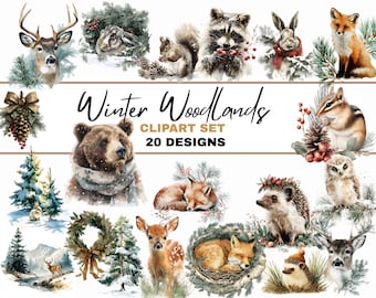Watercolor Winter Woodland Clipart Set of 20 PNGs with Cute Fox, Bear, Deer, and Forest Animals Hand Drawn with Pine and Berry Details
