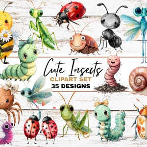 May include: A collection of watercolor illustrations of cute insects, including a bee, ladybug, caterpillar, and dragonfly. The image features the text "Cute Insects Clipart Set 35 Designs" on a white wooden background. The insects are depicted with friendly expressions.