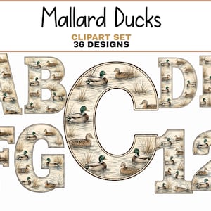 Może przedstawiać: Cyfrowy zestaw clipartów zatytułowany Mallard Ducks 36 Designs zawierający litery A, B, C, D, E, F, G oraz cyfry 1, 2. Każdy znak jest wypełniony szczegółową ilustracją krzyżówek pływających w bagnistym stawie z trzcinami.