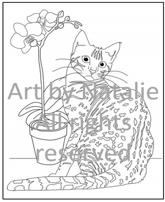Bengal Cat Coloring Page Coloring Pages
