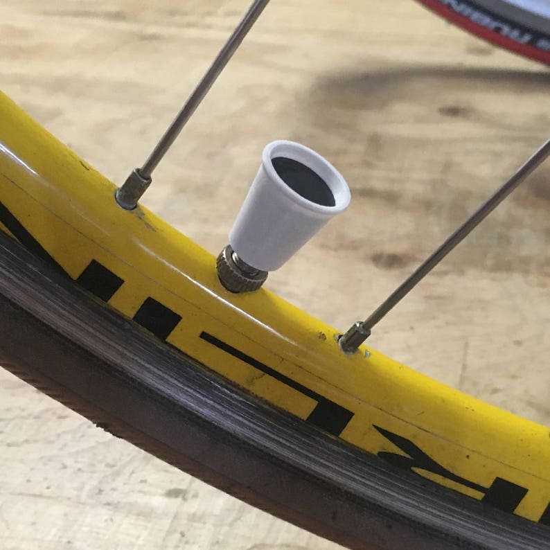 May include: A white valve stem cap with a black rubber insert. The cap is attached to a bicycle tire valve.