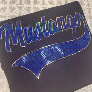 Mustang Spangle, School Spirit, Mascot