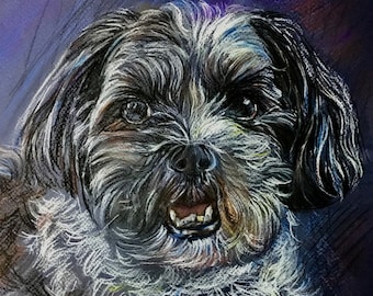 Custom Charcoal or Watercolor Pet Portrait, Dog Portrait, Dog Drawing, Custom Cat Portrait, Draw My Dog