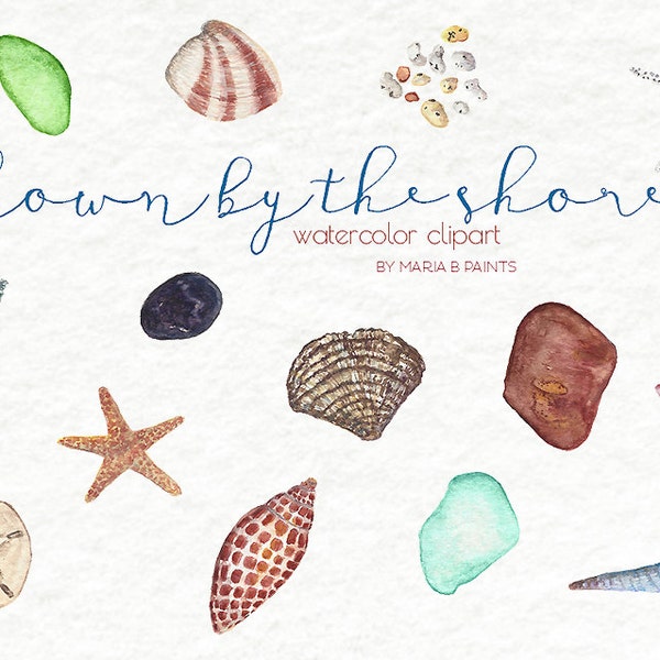 Watercolor Clip Art - Sea shells - Sea Clipart - seashell art - Watercolor Graphics - create digital paper - ocean clipart - home decor