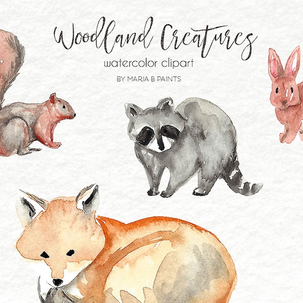 Watercolor Clip Art - Woodland, Forest, Creatures, Animals, Raccoon, Fox, Rabbit, Squirrel, Chipmunk, Skunk, Acorn, Personal Use