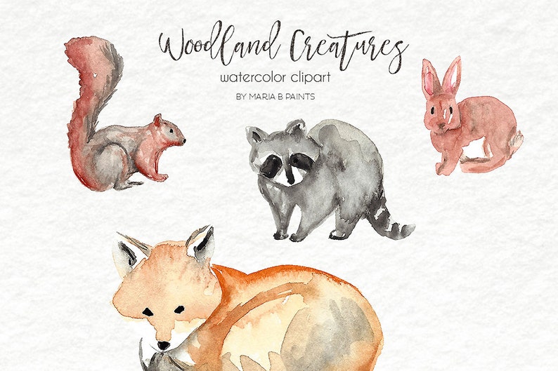 Watercolor Clip Art Rabbit Woodland Squirrel Skunk Fox Personal Use Forest Animals Acorn Raccoon Chipmunk Creatures