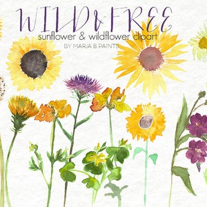 Aquarel Clip Art - Wilde bloemen-Perosnal Gebruik- Instant Download- Zonnebloemen- Paardebloemen- Onkruid- Mooi- Bloemen- Lente- Vulstoffen-Zon