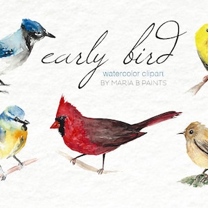 Watercolor Clip Art - Birds - Song Birds- Personal Use- Instant Download- Cardinal- Canary- Blue Jay- Chickadee- Bird watching- Fly- Feather