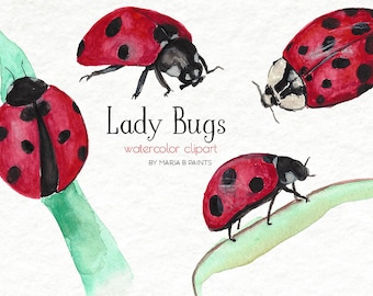 Hand Painted Watercolor Clip Art - Lady Bugs, Insects, Bugs, Lucky, Good Luck, Instant Download, Personal Use, Cute, Children, Invitation