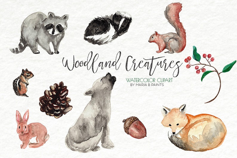 Watercolor Clip Art Rabbit Woodland Squirrel Skunk Fox Personal Use Forest Animals Acorn Raccoon Chipmunk Creatures