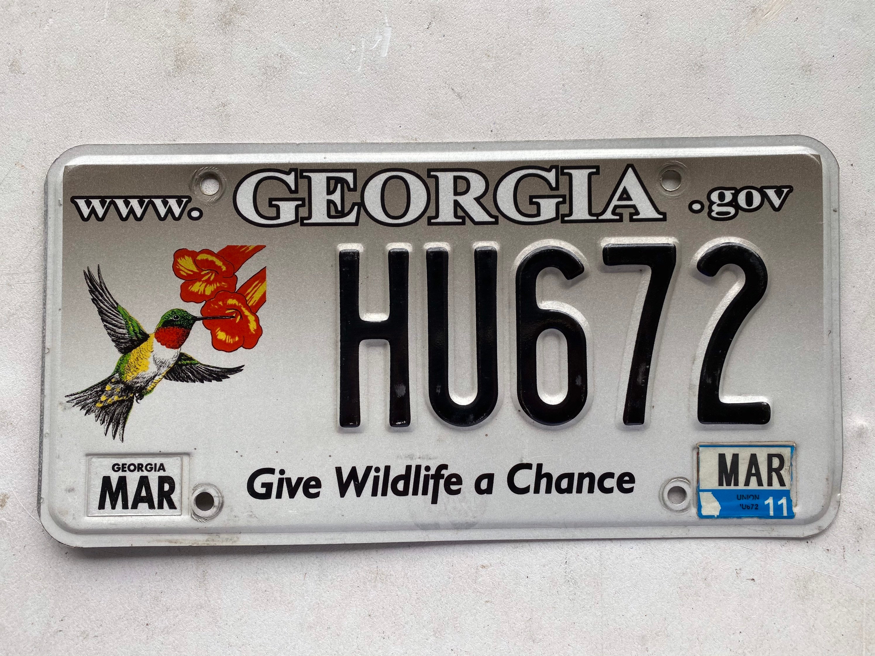 Real USA License plate hummingbird give wildlife a Etsy