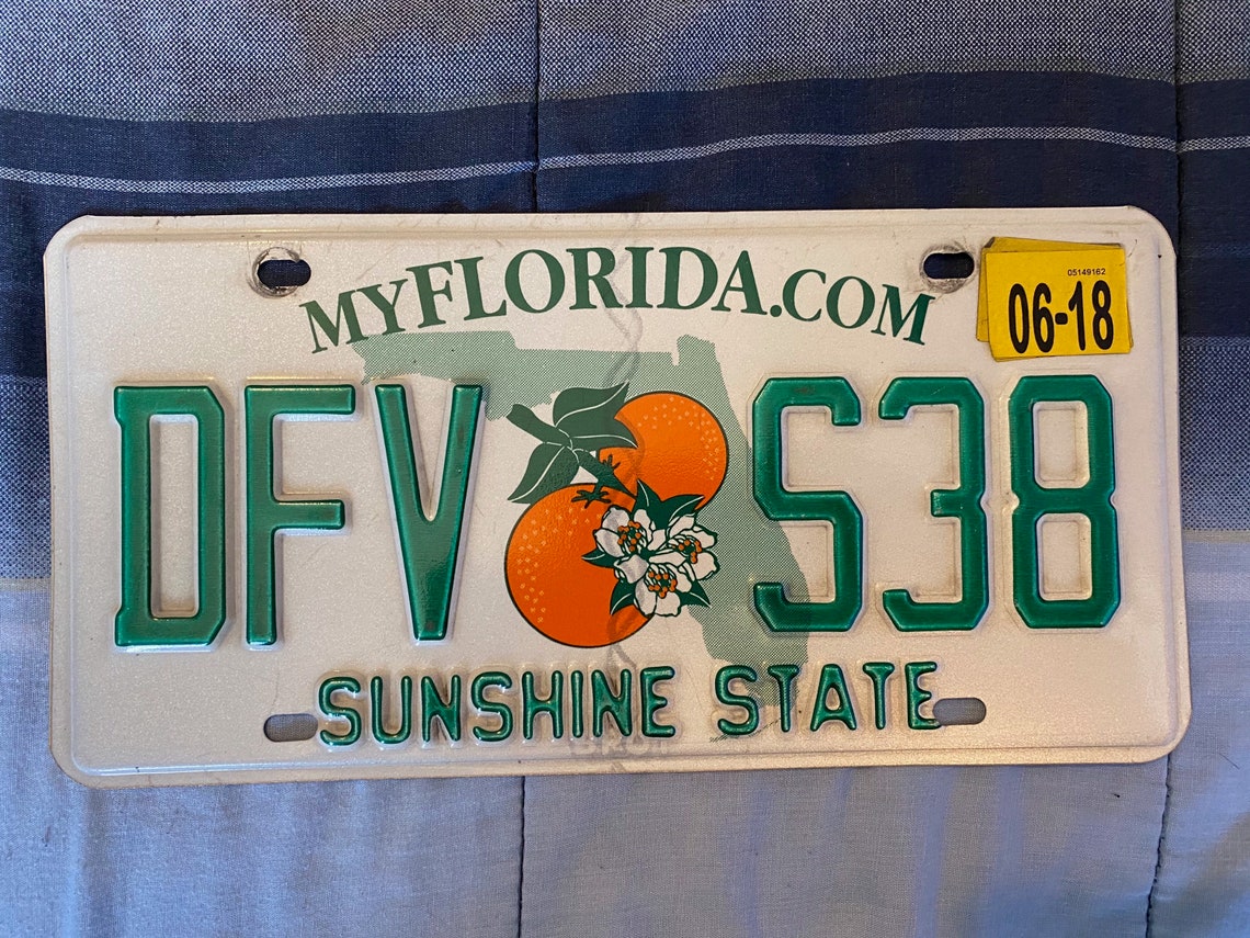 license plate check florida