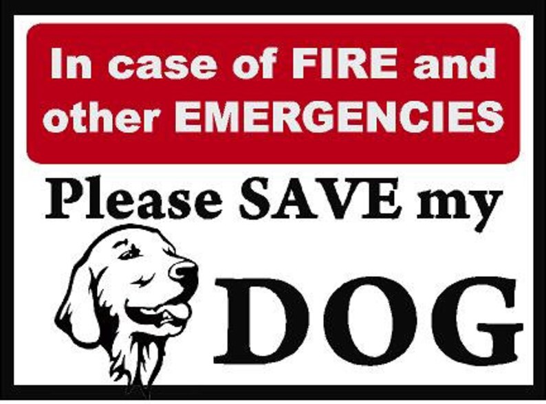 In Case of Fire Please Save my Dog Decal Etsy
