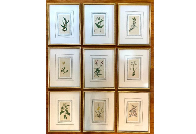 Op de afbeelding: Negen ingelijste botanische prenten met gouden lijsten en witte passe-partouts. Elke prent toont een andere illustratie van een plant of bloem in groen-, bruin- en beigetinten. De lijsten zijn gerangschikt in een raster van drie bij drie.