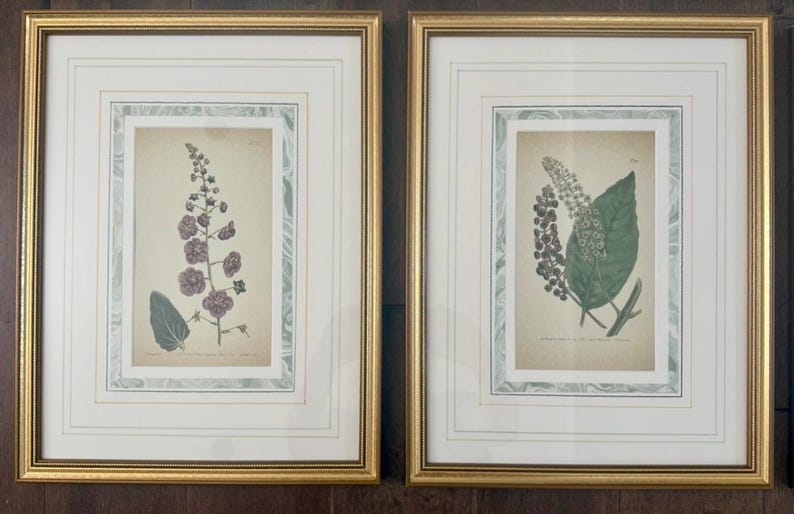 Op de afbeelding: Twee ingelijste botanische prenten. De prenten tonen gedetailleerde illustraties van planten, een met paarse bloemen en de andere met groene bladeren en bessen. De lijsten zijn goudkleurig met witte passe-partouts en een decoratieve rand.