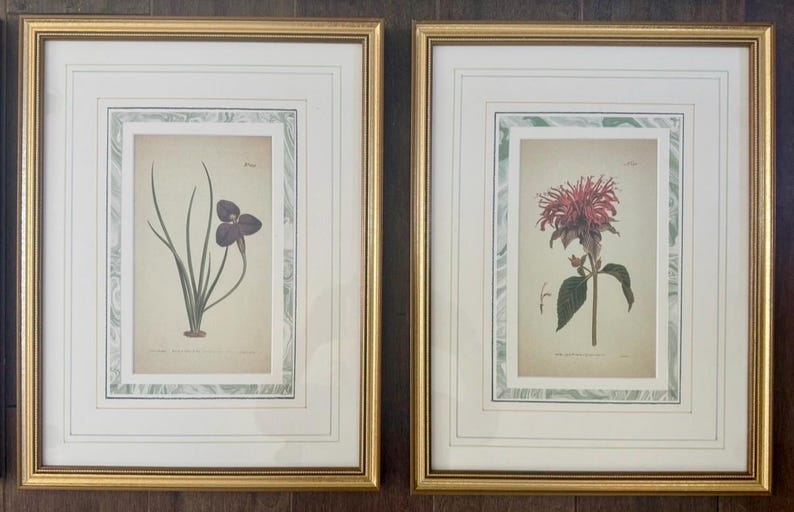 Botanical Prints Framed | Hand-Colored Antique Plant Engraved Illustrations by Redouté, Curtis, Custom Mat with Marbled Detail, Any Quantity afbeelding 13