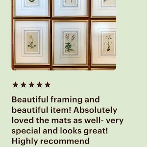Op de afbeelding: Zes ingelijste botanische prenten met gouden lijsten en witte passe-partouts. Elke prent toont een andere plantillustratie. De tekst "Beautiful framing and beautiful item! Absolutely loved the mats as well- very special and looks great! Highly recommend Verified Etsy Buyer" is ook zichtbaar.