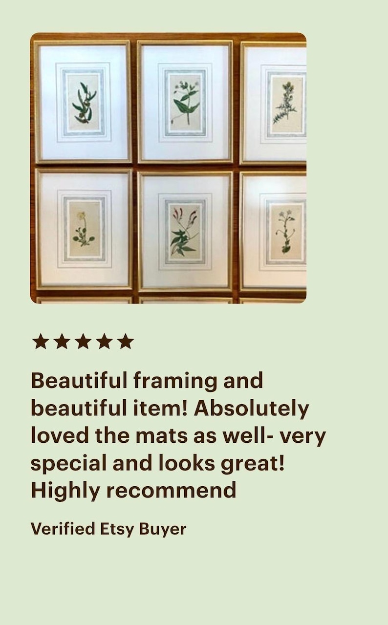 Op de afbeelding: Zes ingelijste botanische prenten met gouden lijsten en witte passe-partouts. Elke prent toont een andere plantillustratie. De tekst "Beautiful framing and beautiful item! Absolutely loved the mats as well- very special and looks great! Highly recommend Verified Etsy Buyer" is ook zichtbaar.