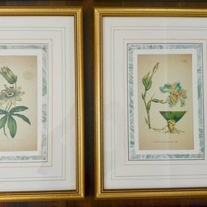 Op de afbeelding: Twee ingelijste botanische prenten met gouden lijsten. De prenten bevatten gedetailleerde illustraties van bloemen en planten, met groene en witte accenten. De lijsten zijn rechthoekig en hebben een dubbele passe-partout.