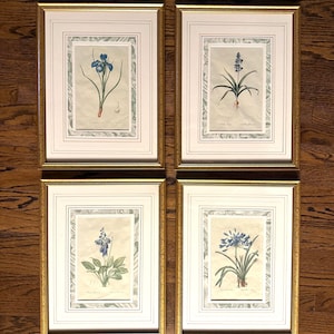 Op de afbeelding: Vier ingelijste botanische prenten met gedetailleerde illustraties van verschillende blauwe bloemen. Elke prent is geplaatst in een witte passe-partout en een goudkleurige lijst. De prenten zijn gerangschikt op een houten oppervlak.