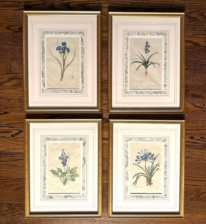 Op de afbeelding: Vier ingelijste botanische prenten met gedetailleerde illustraties van verschillende blauwe bloemen. Elke prent is geplaatst in een witte passe-partout en een goudkleurige lijst. De prenten zijn gerangschikt op een houten oppervlak.