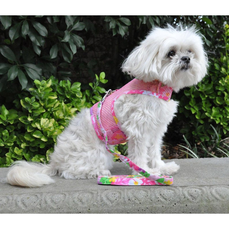Cool Mesh Dog Harness With Leash by Doggie Design Pink Etsy