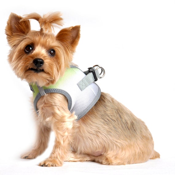 American river choke top free dog harness