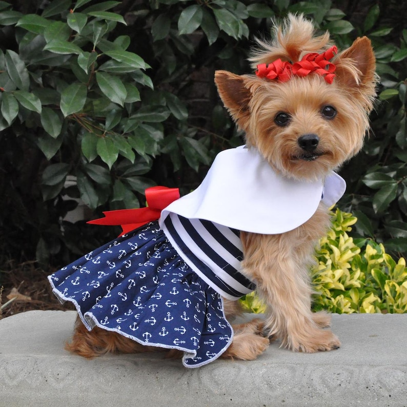 Nautical Dog Dress with Matching Leash by Doggie Design   66885 